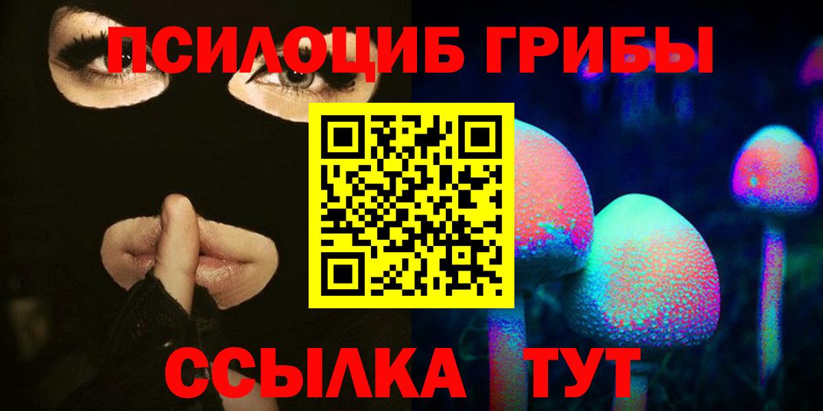 Павловский Посад  Галлюциногенные грибы Psilocybe  Вход с VPN 