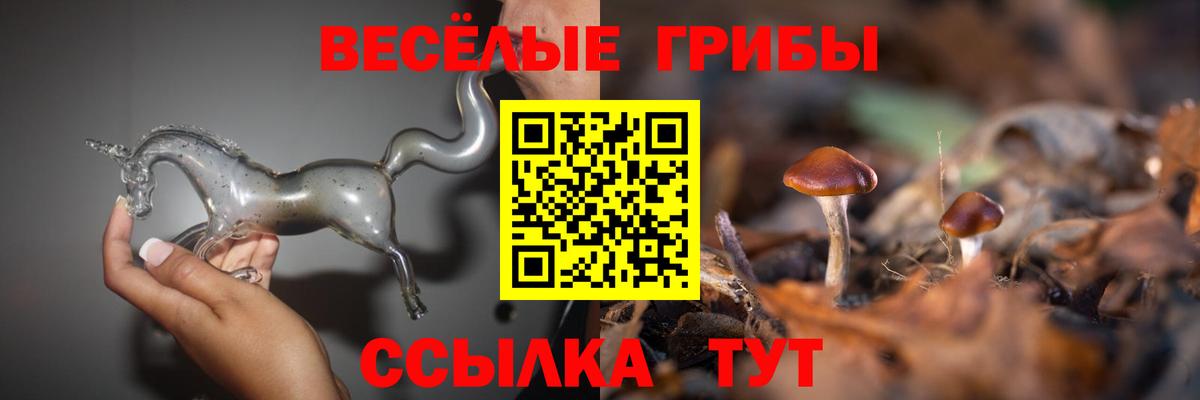 Галлюциногенные грибы Cubensis Павловский Посад